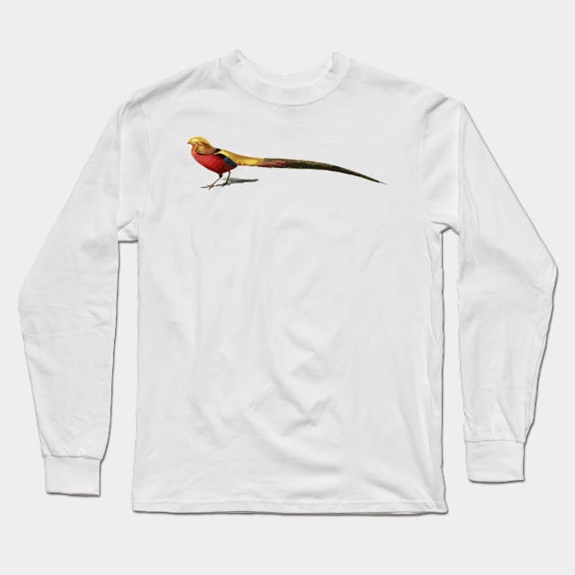 Golden Pheasant Digital Painting Long Sleeve T-Shirt by gktb